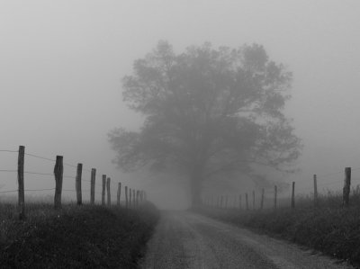 JPG BW CS Sparks Lane PA084386.jpg