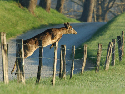 JPG CS B1Jumper DSC_4544.jpg
