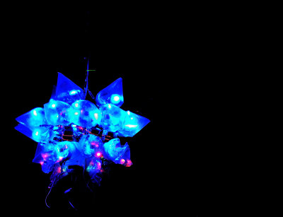 DSC_5587.jpg
