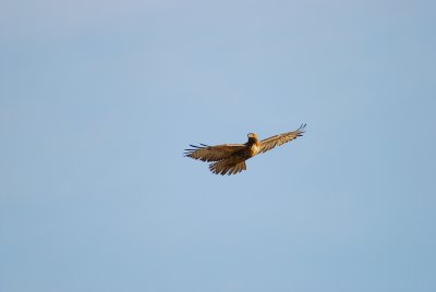 DSC_0190.jpg