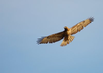 DSC_0194.jpg