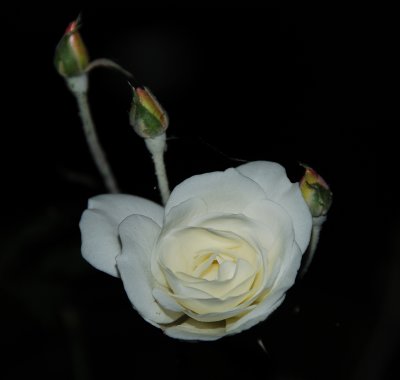 DSC_0043.jpg