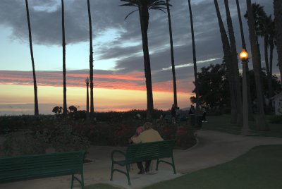 DSC_0039.jpg