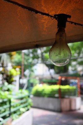 IMG_5155.JPG