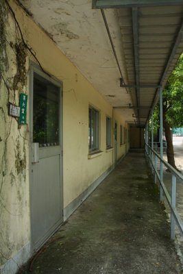 դǮ