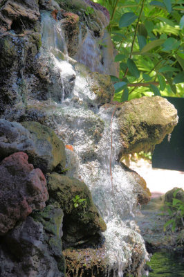 Pretty waterfall @ Jungle Gardens
