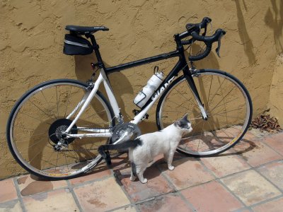 new_bike