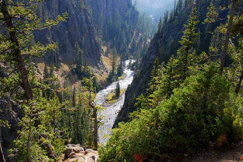 DSC_2194.jpg