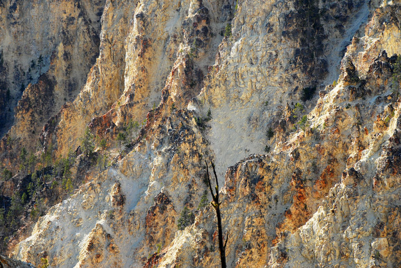 DSC_2584.jpg