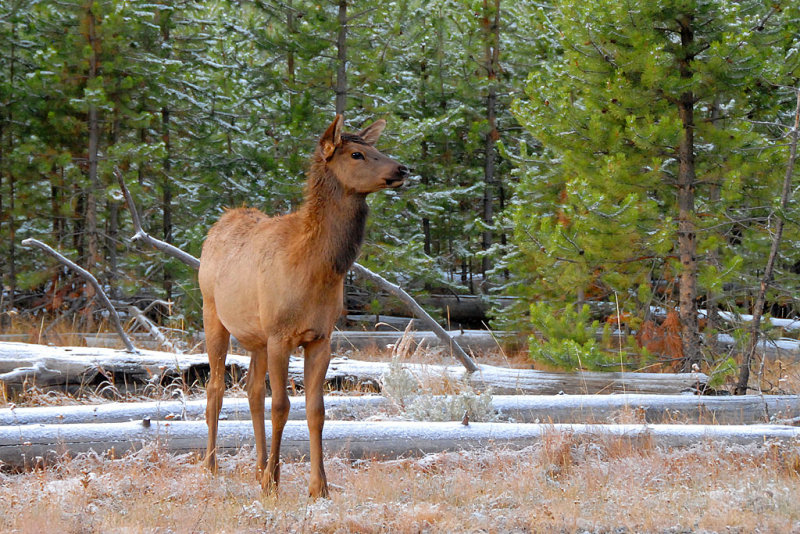 DSC_3026.jpg