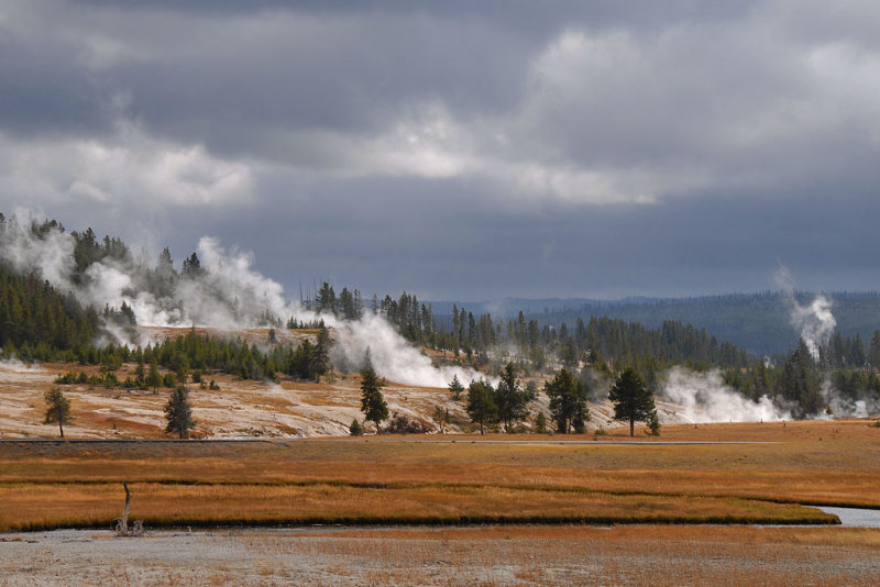 DSC_3241.jpg