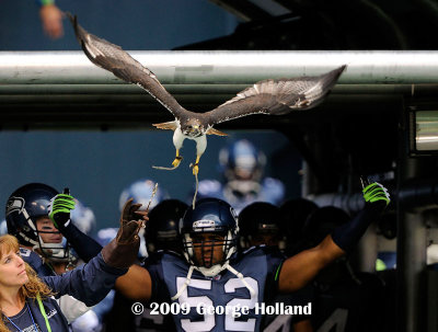 Lions_Seahawks_06.JPG