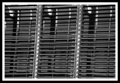 Blinds on Pappajohn_BW