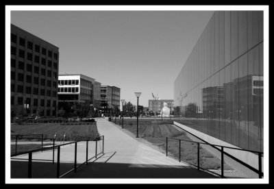 Library Greenspace_BW