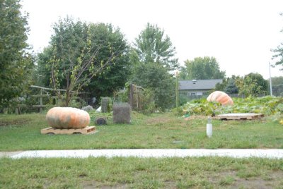 DSC_0021.JPG
