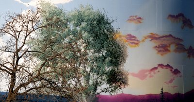 Entanglement of Reality and Fantasy