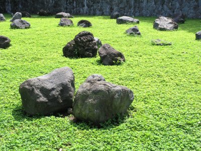 Rocks and Grass