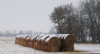 Snow on the Hay Bales