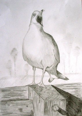 bird, Sophia Yuan, age:14