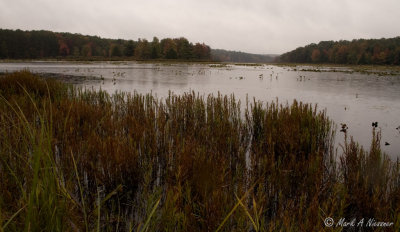 Fall in PA 2006.jpg