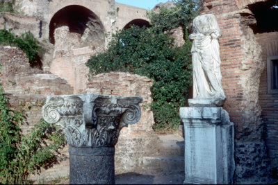 The Forum Ruins