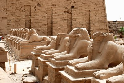 Karnak Temple entrance - avenue of ram-headed sphinxes
