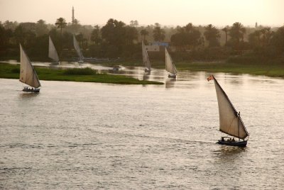 Traditional Egyptian sailing vessel - felucca - racing down the Nile