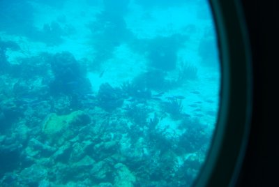 A not so clear ship wreck taken on the Atlantis submarine