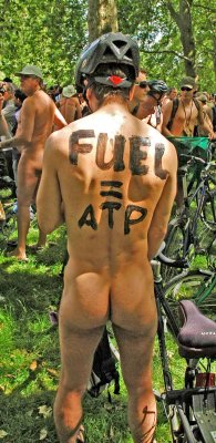 london naked bike ride 2008