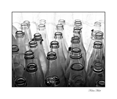 bottles 2008 01_tn.jpg