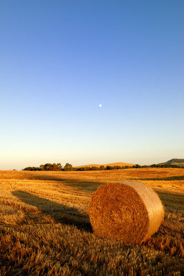 Campagna materana