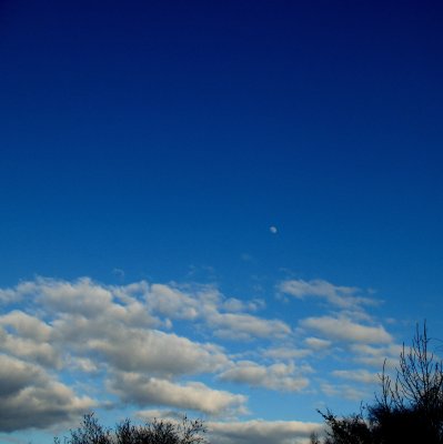 Moonshine.jpg