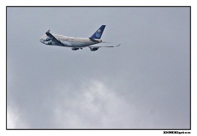 k_8225.jpg