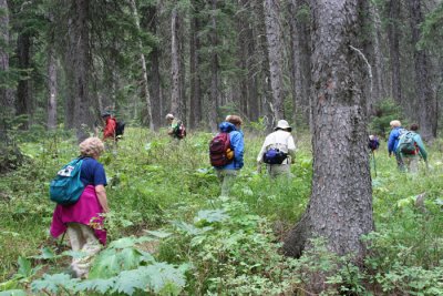 HIKING IN GLACIER NP