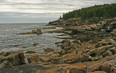 ACADIA SHORELINE