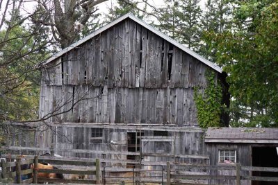 Old Gray Barn