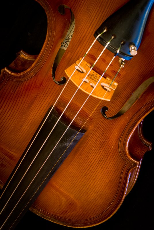 violin 7