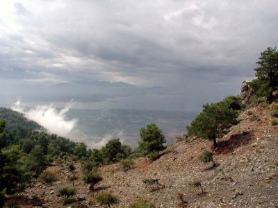 Wanderung entlang der Kste durch Kiefernwlder