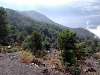 Wanderung entlang der Kste durch Kiefernwlder