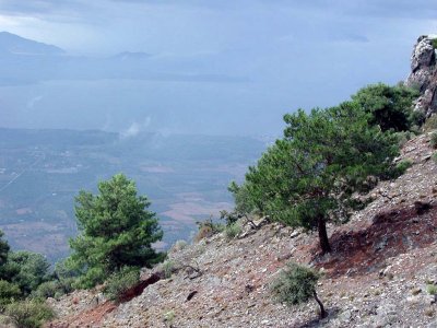 Wanderung entlang der Kste durch Kiefernwlder