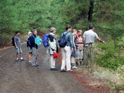 Wanderung entlang der Kste durch Kiefernwlder