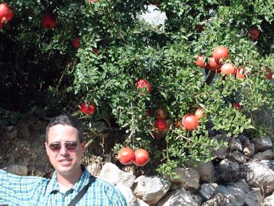 Trauben und Granatpfel als Belohnung