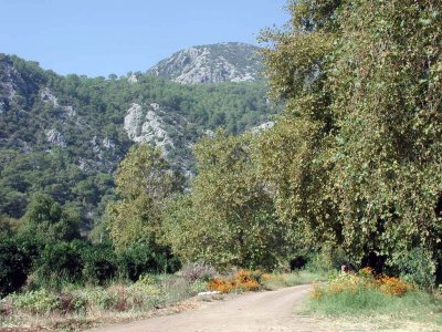 Nach Chimera zum ewigen Feuer des Berges Olympos
