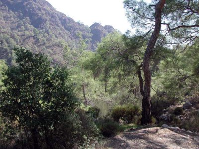 Nach Chimera zum ewigen Feuer des Berges Olympos