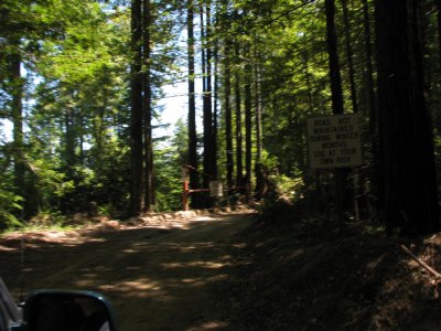 A drive along Navarro ridge road