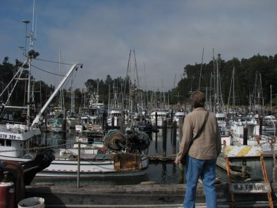 Boats at Noyo harbor