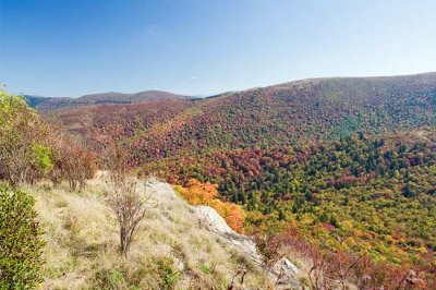 Sam Knob Summit Trail 9