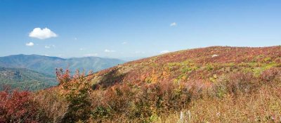 Ivestor Gap Trail 2