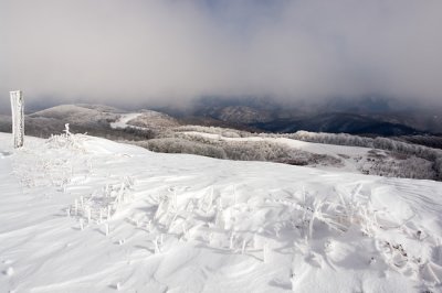 Max Patch Mountain 12