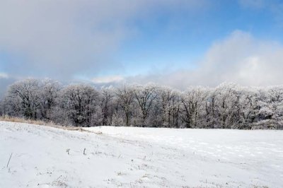 Max Patch Mountain 13